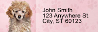 Poodle Pups Keith Kimberlin Address Labels | LRRKKM-14