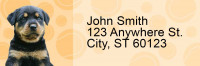 Rottweiler Pups Keith Kimberlin Address Labels | LRRKKM-15