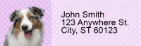 Australian Shepherd Pups Keith Kimberlin Address Labels | LRRKKM-17
