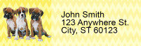 Boxer Pups Keith Kimberlin Address Labels | LRRKKM-19