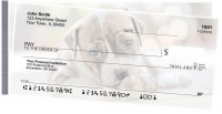 Pit Bull Pups Side Tear Checks | STDOG-118