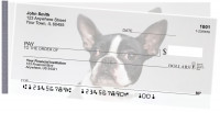 Boston Terrier Side Tear Checks | STDOG-47
