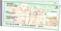 Golden Retriever Pups Keith Kimberlin Side Tear Checks | STKKM-13