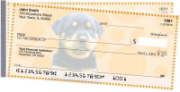 Rottweiler Pups Keith Kimberlin Side Tear Checks | STKKM-15