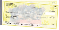 Yorkie Pups Keith Kimberlin Side Tear Checks | STKKM-16