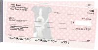 Boston Terrier Pups Keith Kimberlin Side Tear Checks | STKKM-18