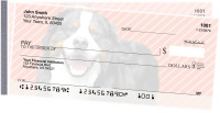 Bernese Mountain Dog Pups Keith Kimberlin Side Tear Checks | STKKM-27