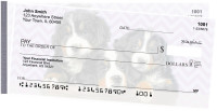 Bernese Mountain Dog Pups Keith Kimberlin Side Tear Checks | STKKM-27