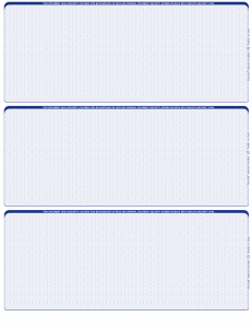 Blue Safety Blank 3 Per Page Laser Checks