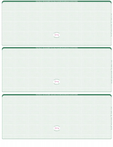 Green Safety Blank High Security 3 Per Page Laser Checks