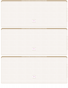 Tan Safety Blank High Security 3 Per Page Laser Checks