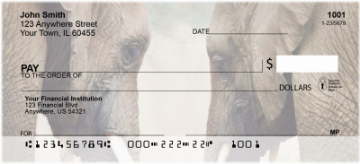 Heads Or Tails Personal Checks | ANI-68