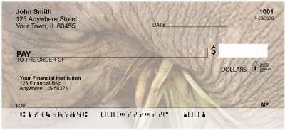 Elephants Up Close and Personal Personal Checks | ANI-69