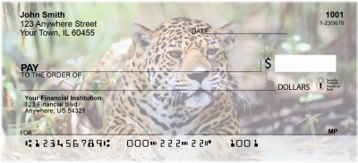Jaguars Personal Checks | ANI-90