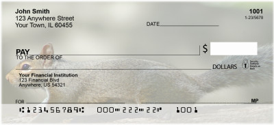 Squirrel Antics Personal Checks | ANJ-73