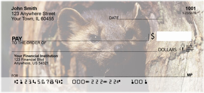 Ferrets Personal Checks | ANK-34