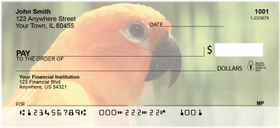 Parakeets On Parade Personal Checks | ANK-55
