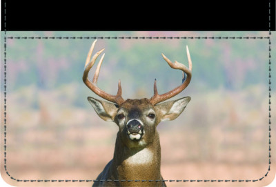 Big Horned Buck Debit Caddy | DLC-ANK71