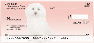 Adorable Bichons Personal Checks | DOG-31