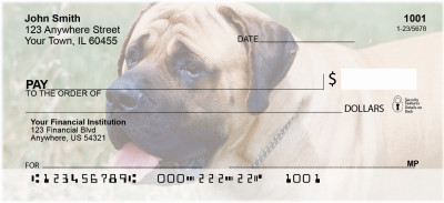 Mastiff Personal Checks | DOG-33