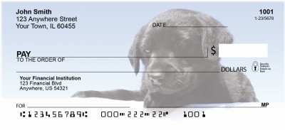 Black Lab Puppies Personal Checks | DOG-53