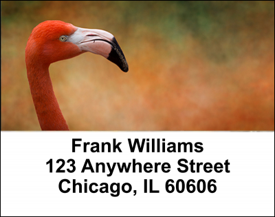 Flamingos Address Labels | LBANI-24
