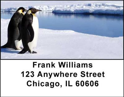 Penguins Address Labels | LBANI-33