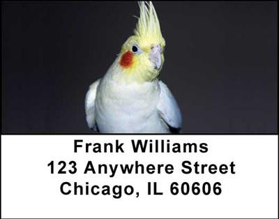Cockatiels Address Labels | LBANI-39