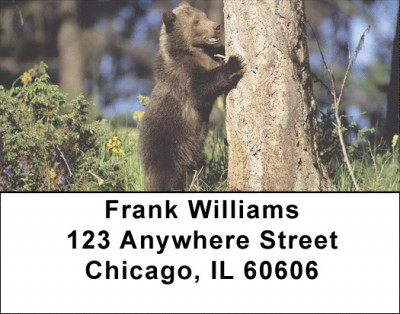Grizzly Bear Cubs Address Labels | LBANI-B0