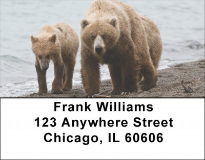 Grizzly Bears in the Wild Address Labels | LBANI-B2