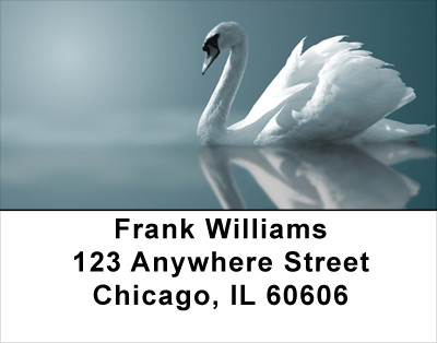 Swan Splendor Address Labels | LBANJ-79