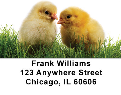 Spring Chicks Address Labels | LBANK-13