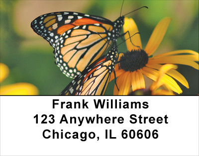 Golden Wings Address Labels | LBANK-65