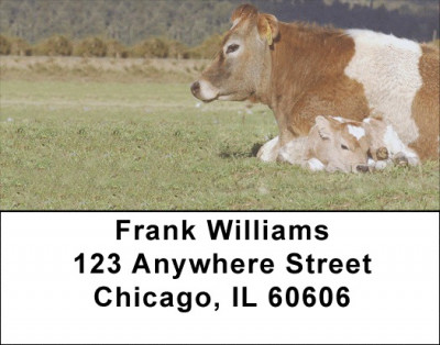 Bonding Baby Calves Address Labels | LBANK-89