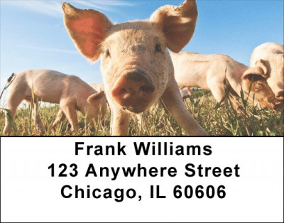 Down on the Farm Address Labels | LBANK-90
