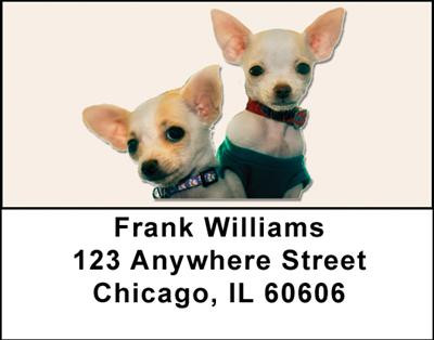 More Chihuahuas Address Labels | LBDOG-05