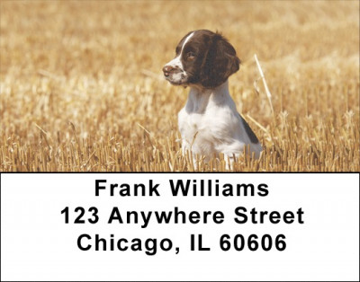 English Spaniels Address Labels | LBDOG-100