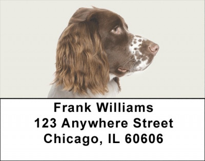 More English Spaniels Address Labels | LBDOG-101