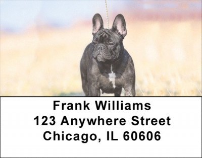 French Bulldog Address Labels | LBDOG-102