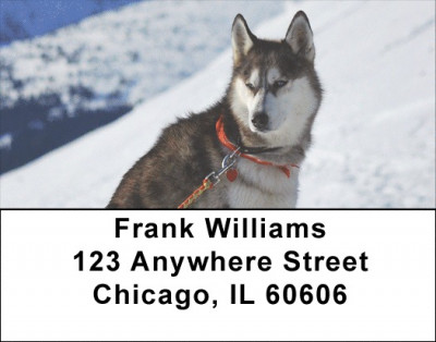 Siberian Husky Address Labels | LBDOG-110