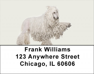 Standard Poodle Address Labels | LBDOG-111