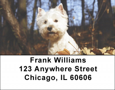 West Highland White Terrier Address Labels | LBDOG-112