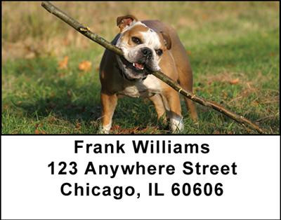 Fun with Bulldogs Address Labels | LBDOG-23