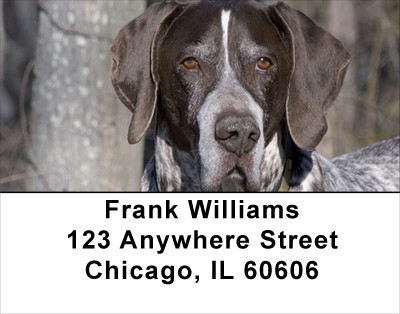 German Short Haired Pointers Address Labels | LBDOG-28