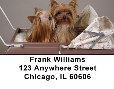 More Yorkies Address Labels | LBDOG-34