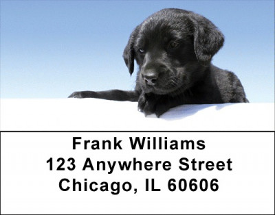 Black Lab Puppies Address Labels | LBDOG-53
