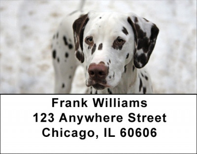 Dalmatians Address Labels | LBDOG-74