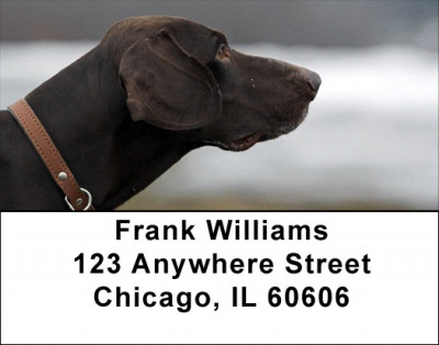 Grand German Shorthair Pointer Address Labels | LBDOG-78