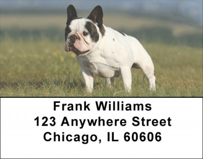 French Bulldog Address Labels | LBDOG-80
