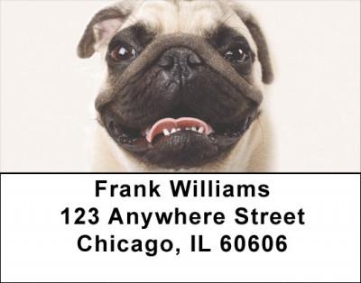Pug Portraits Address Labels | LBDOG-85